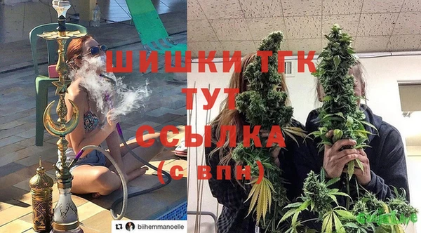 молекула духа Снежногорск