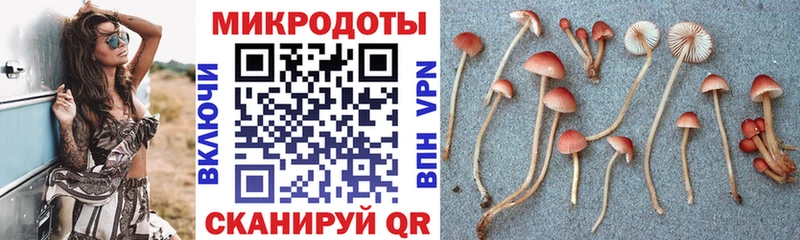 Галлюциногенные грибы MAGIC MUSHROOMS  кракен зеркало  Питкяранта 