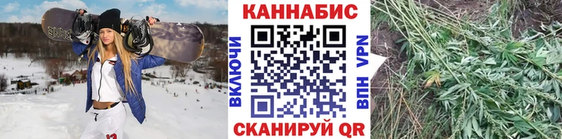Конопля план  Питкяранта 